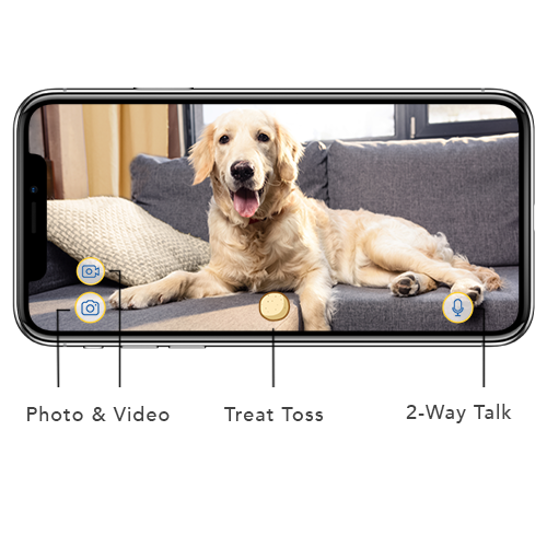 Furbo Dog Camera | Treat-Tossing Dog Camera & 2 Way Audio | Furbo SG